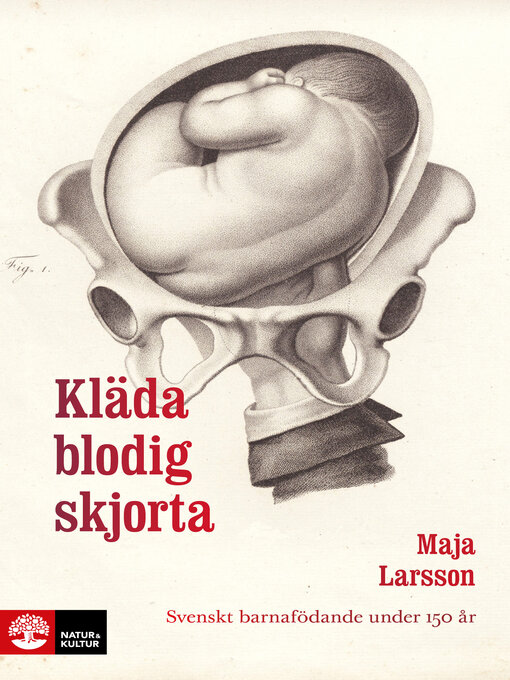 Titeldetaljer för Kläda blodig skjorta av Maja Larsson - Tillgänglig